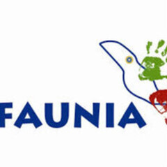 Ticket for Faunia 